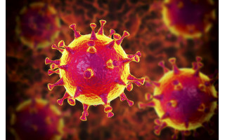 Per parą Palangoje nustatyta 18 naujų koronaviruso atvejų, šiuo metu COVID-19 kurorte serga 129 asmenys