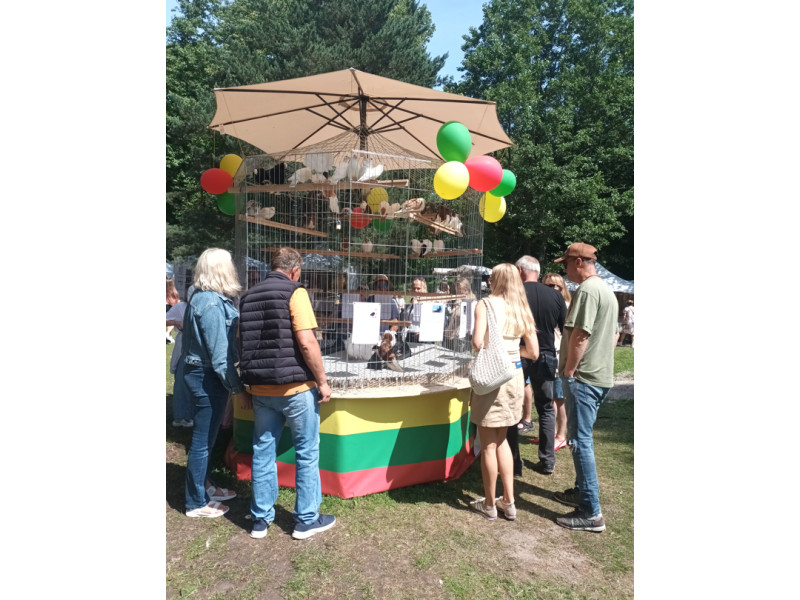 Lietuviškų balandžių veislių paroda. R. Liaudansko nuotr.