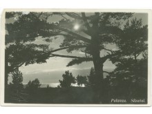 Palanga. Siluetai. Fot. I. Stropus, 1936 m.