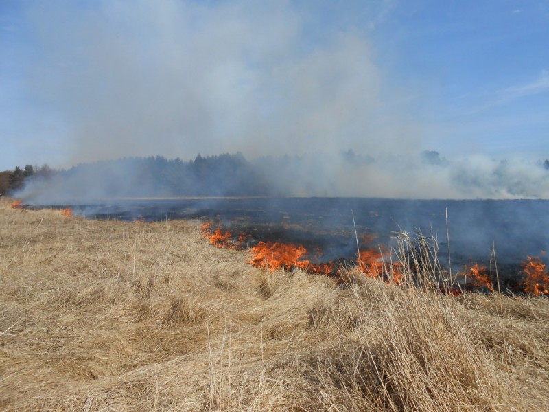 Palangos priešgaisrinė gelbėjimo tarnyba įspėja nedeginti žolės