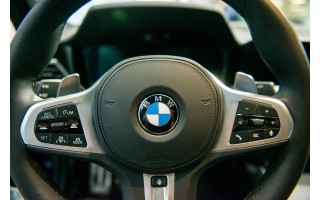 Kas niokoja BMW automobilius Palangoje?