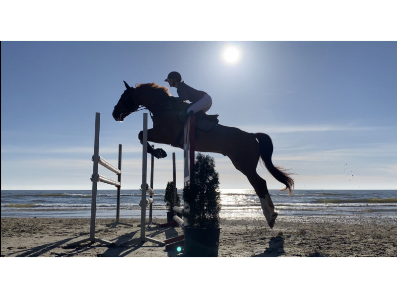 Išskirtinis renginys Palangos gyvūnų paplūdimyje - Palanga Beach Horse Show 2022