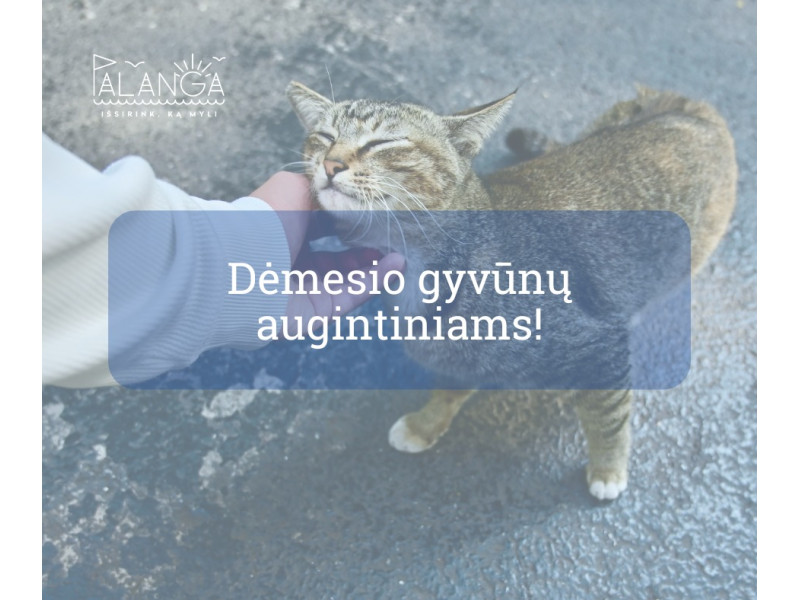 Informacija gyvūnų (šunų, kačių ir šeškų) šeimininkams