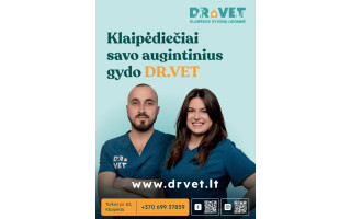 Saulės poveikis augintiniams – negailestingas: odos vėžiu suserga net iš namų neišeinančios katės