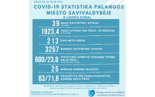 Sausio 13-osios koronaviruso statistika