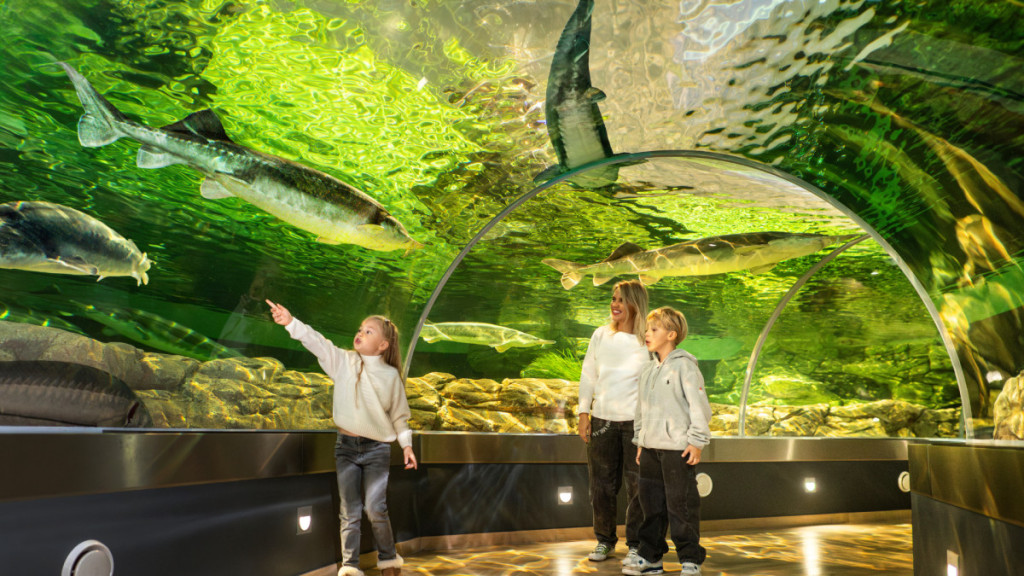 Alfonso Mažūno, Neringos Girdvainienės, Evaldo Lasio ir Pavel Kulikov nuotr.