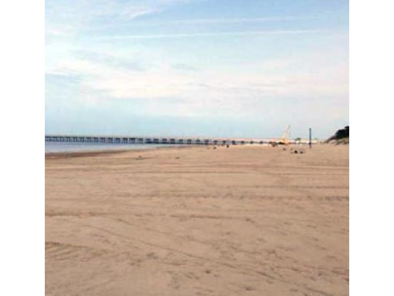 Krantotvarkos specialistai: Palangos paplūdimiai smėliu maitinti ne veltui