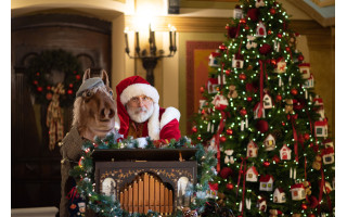 Kretingos muziejuje rezidenciją įkūręs Kalėdų Senelis kviečia vaikus į nepamirštamus susitikimus
