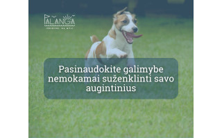 Pasinaudokite galimybe nemokamai suženklinti savo augintinius