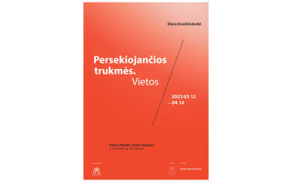 Elenos Grudzinskaitės personalinė paroda „Persekiojančios trukmės. Vietos“