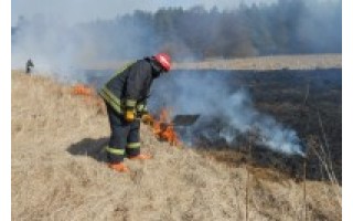 Už žolės deginimą piliečiai gali būti nubausti nuo 57 iki 289 eurų bauda