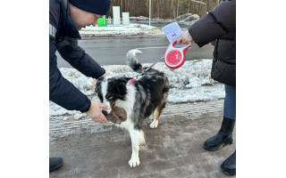 Palangos savivaldybė primena: vedžiodami gyvūnus nepamirškite aplinką palikti švarią