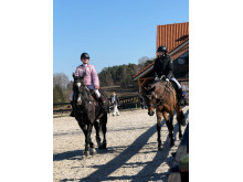 Palangos jojimo sporto klubo „Happy Horse” nuotraukos