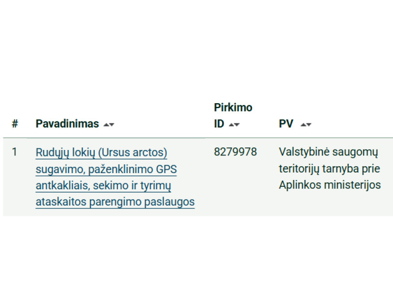 Rudasis lokys pareina į Lietuvos pajūrį!*