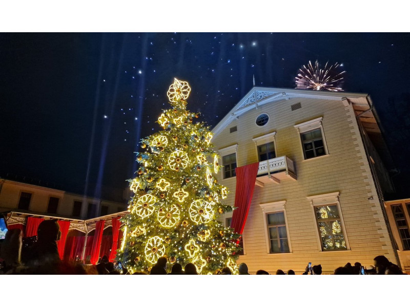 Palangos Kalėdų eglė. FOTO: MODESTA MEŠKĖ | DELFI