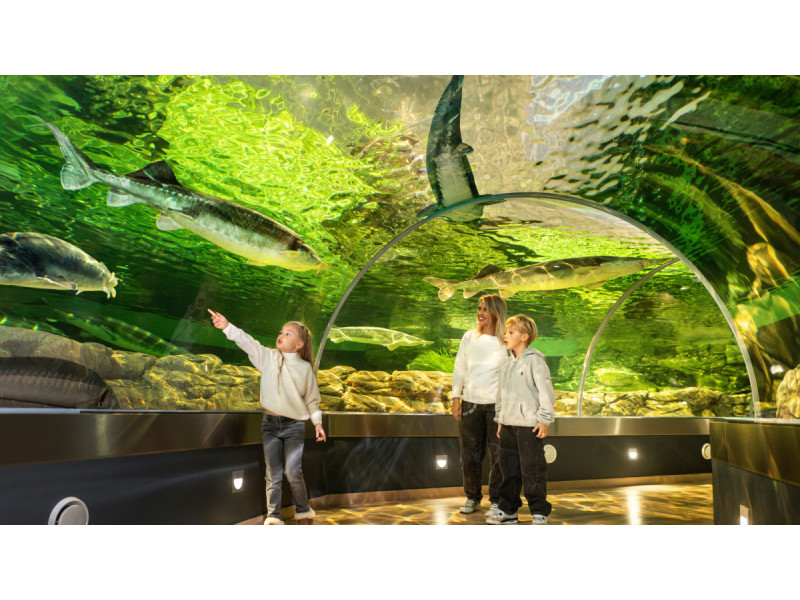 Alfonso Mažūno, Neringos Girdvainienės, Evaldo Lasio ir Pavel Kulikov nuotr.