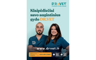 Saulės poveikis augintiniams – negailestingas: odos vėžiu suserga net iš namų neišeinančios katės