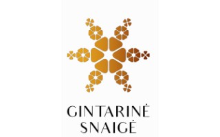 Kas šiemet vertas „Gintarinė snaigė 2019” apdovanojimų?