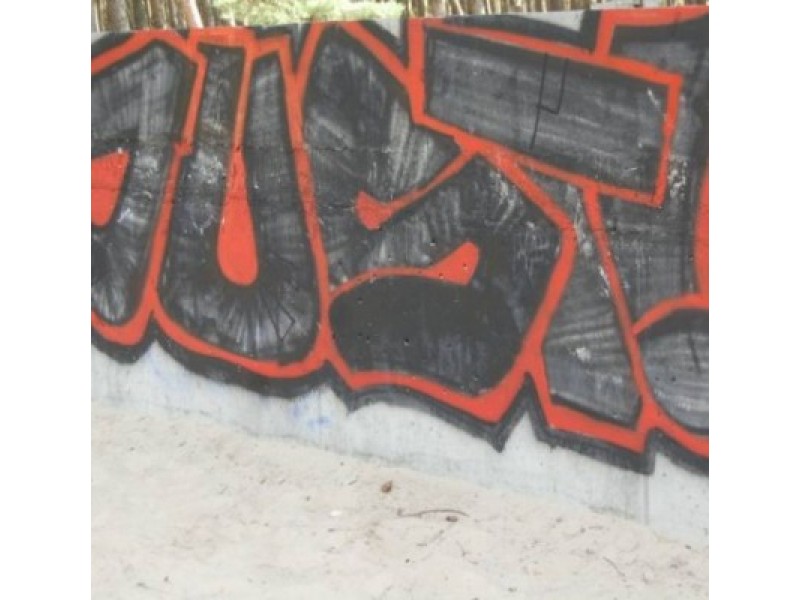 Policijai apie įžūlų grafiti chuliganą ZED niekas iki šiol nepranešė