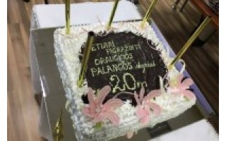 Palangos pulsas