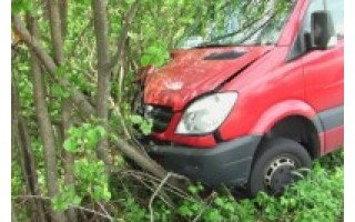 Sušlubavus vairuotojo sveikatai į medžius rėžėsi autobusas „Klaipėda-Palanga“