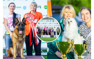 Palangoje – didžiojo pudelio, vokiečių aviganio ir Lasos apso triumfas