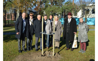 Antano Mončio skvere pasodintas menininko atminimui skirtas ąžuoliukas