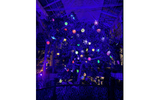 Kretingos muziejaus Žiemos sode rojaus spalvomis pražys „Gyvybės medis“ 