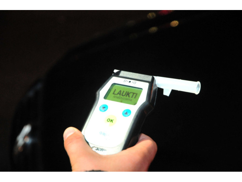 A.Vaitkevičiaus asociatyvi nuotr.