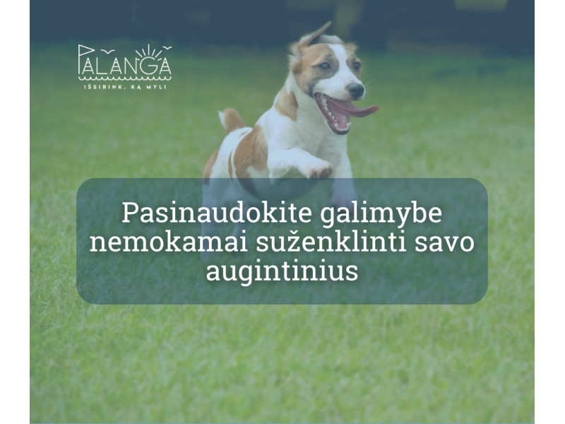 Pasinaudokite galimybe nemokamai suženklinti savo augintinius