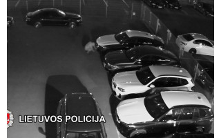 Uostamiesčio pareigūnams įkliuvo automobilius apšvarinę vagišiai – padaryta žala viršija 25 tūkst. eurų