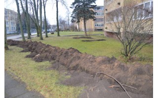 Druskininkų gatvėje bus daugiau šviesos