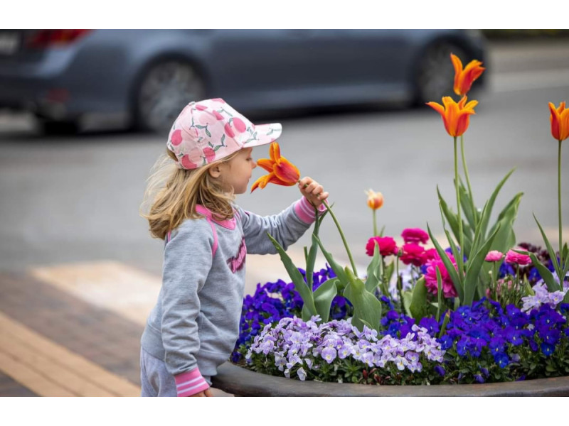 Palanga sulaukia svečių net iš Meksikos, Australijos, Naujosios Zelandijos, Pietų Afrikos Respublikos