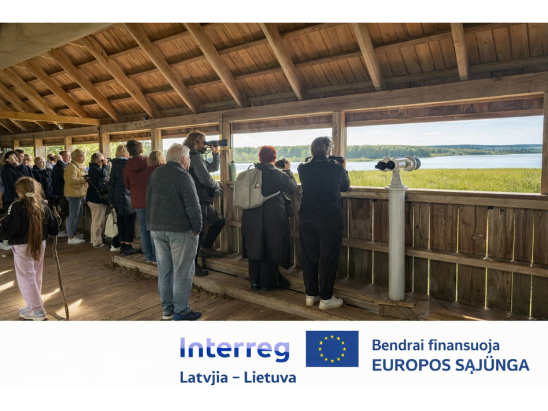 Paukščių stebėjimas Baltijos jūros pakrantėje