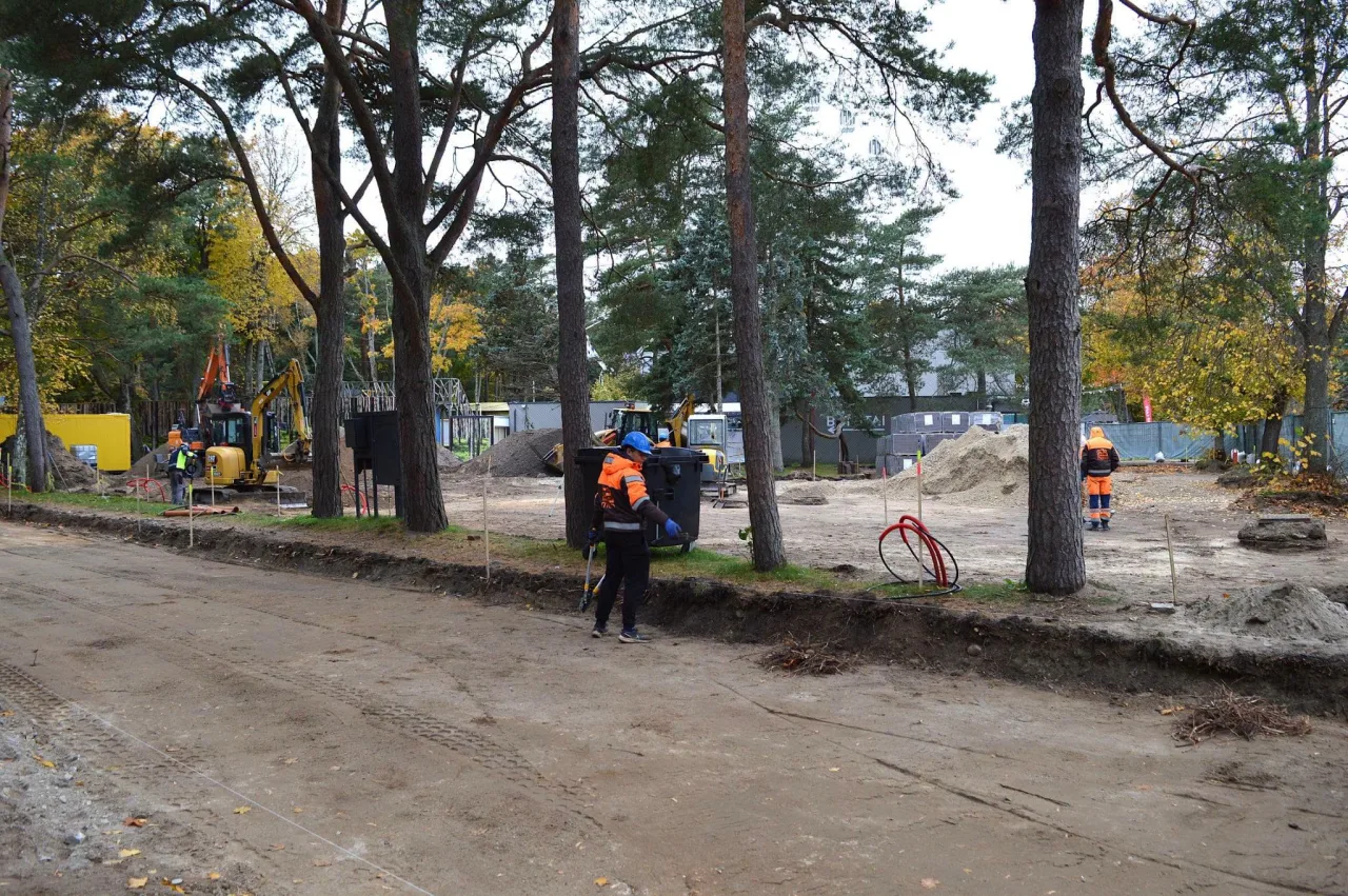 Palangoje tiesiama Vytauto Kernagio alėja – dar viena ypatinga kurorto vieta