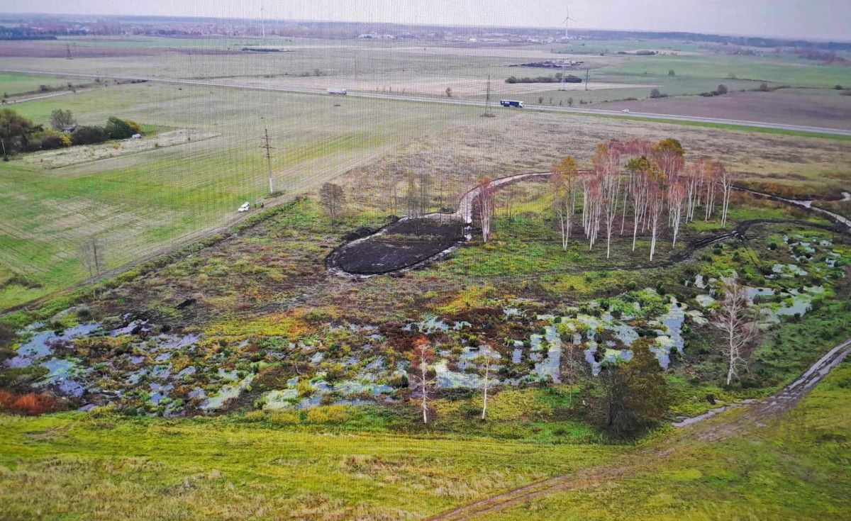 Palangos meras Šarūnas Vaitkus kreipėsi į Klaipėdos apygardos prokuratūrą: brutaliai iškirsta daugiau kaip tūkstantis medžių