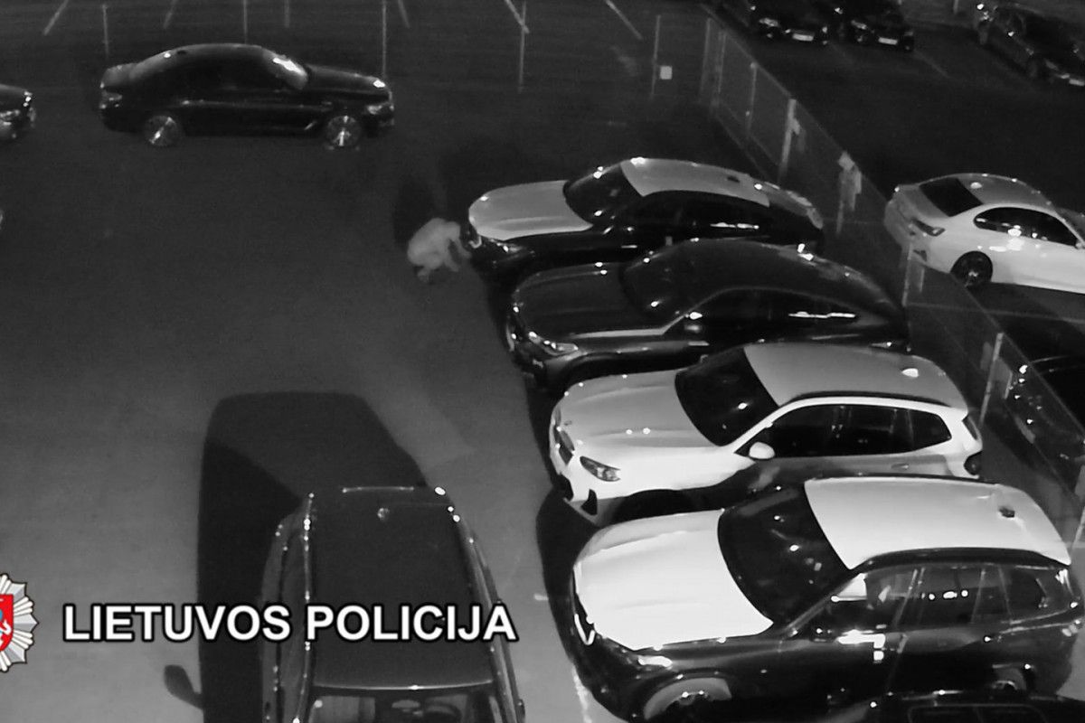 Uostamiesčio pareigūnams įkliuvo automobilius apšvarinę vagišiai – padaryta žala viršija 25 tūkst. eurų