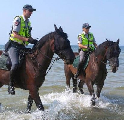 Palangos poilsiautojus sužavėjo raitoji policija