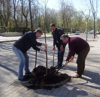 Iniciatyvios Palangos įmonės kurortui padovanojo keliasdešimt liepų