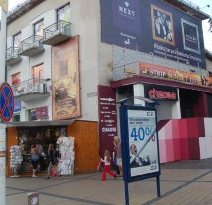 Valdžios neįgalumas: nustatyta 150 nelegalių lauko reklamų, baudos – nė vienos