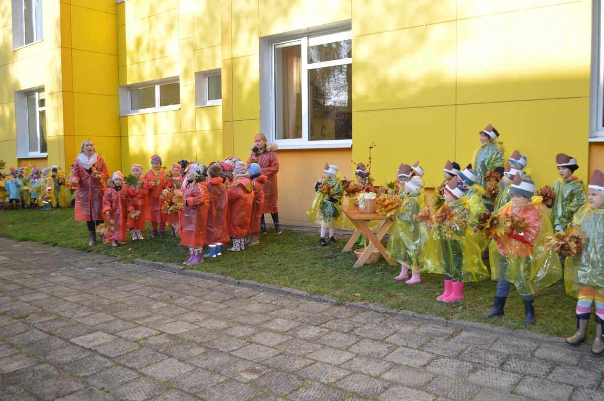Dovanotame šiltnamyje šiemet jau nuimtas pirmasis derlius