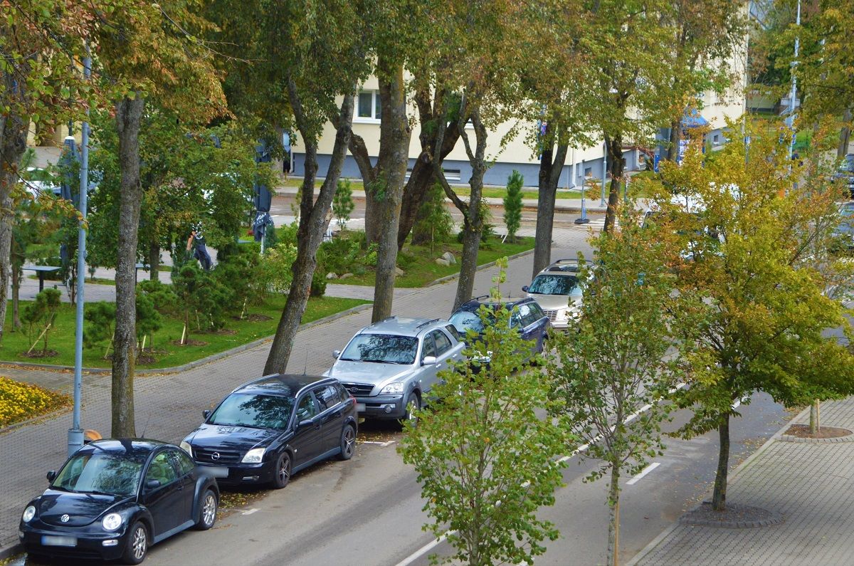 Nuo rugsėjo 16 d. iki gegužės 15 d. automobilių stovėjimas Palangos gatvėse yra nemokamas
