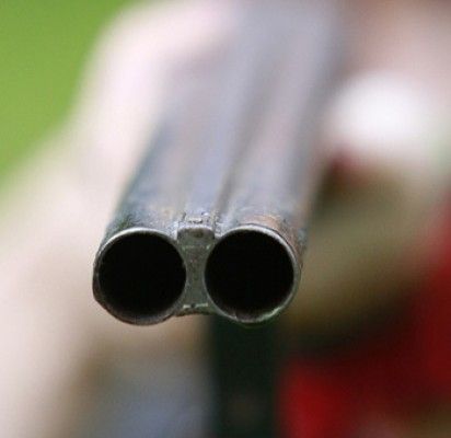 Velykų tragedija: mirtinai sužalojęs žentą nusišovė šventojiškis