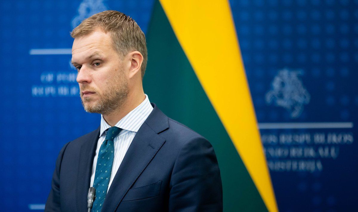 Gabrielius Landsbergis. FOTO: ŽYGIMANTAS GEDVILA | ELTA