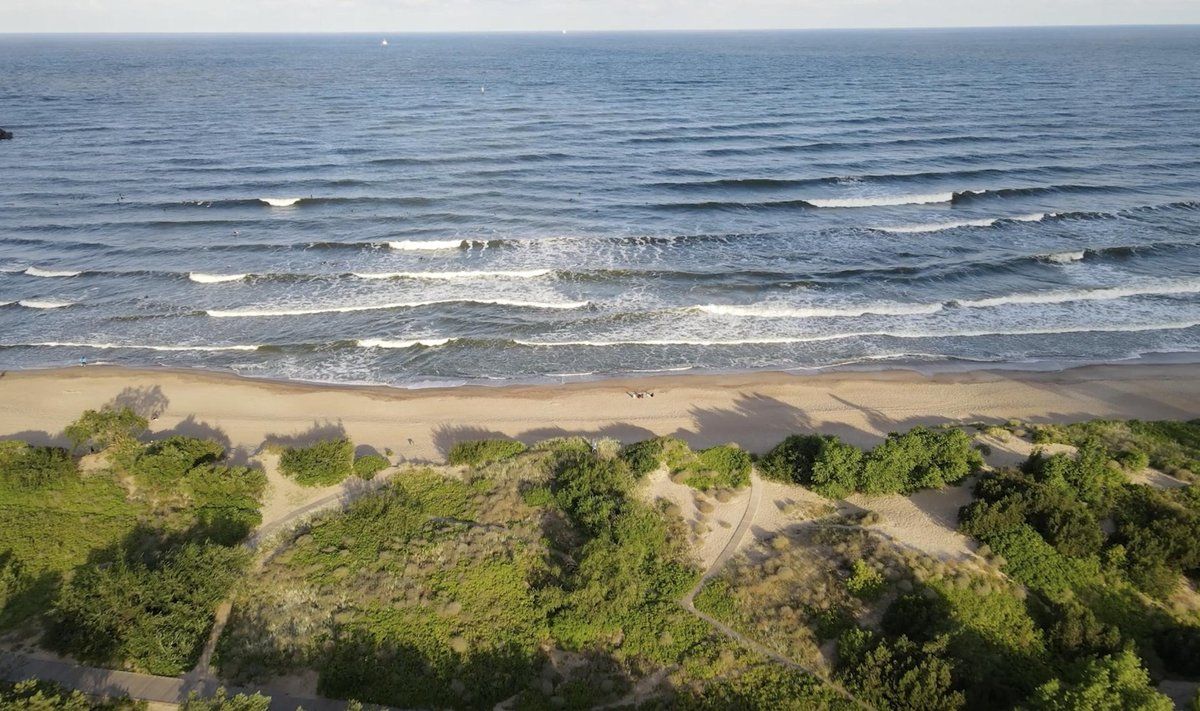 „Surf Camp“ banglenčių akademija. FOTO: STOPKADRAS, „SURF CAMP“ MEDŽ.