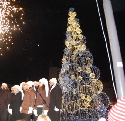 Tikros Kalėdų žaliaskarės Palanga neturės ir šiemet