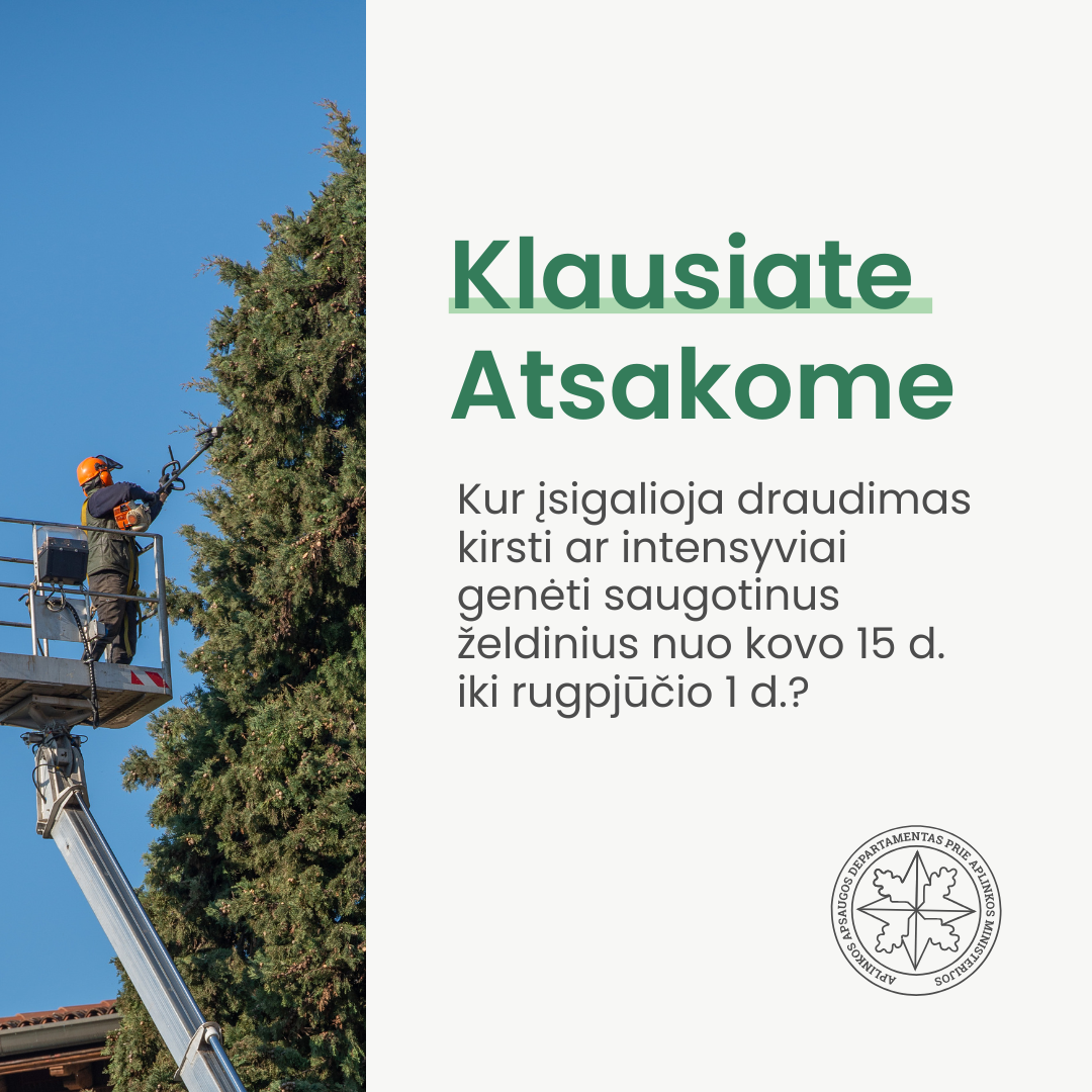 Informacija apie dėl želdinių genėjimą paukščių perėjimo laikotarpiu