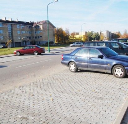 Gėlių ir uogų pergalė prieš žymius miesto visuomenininkus