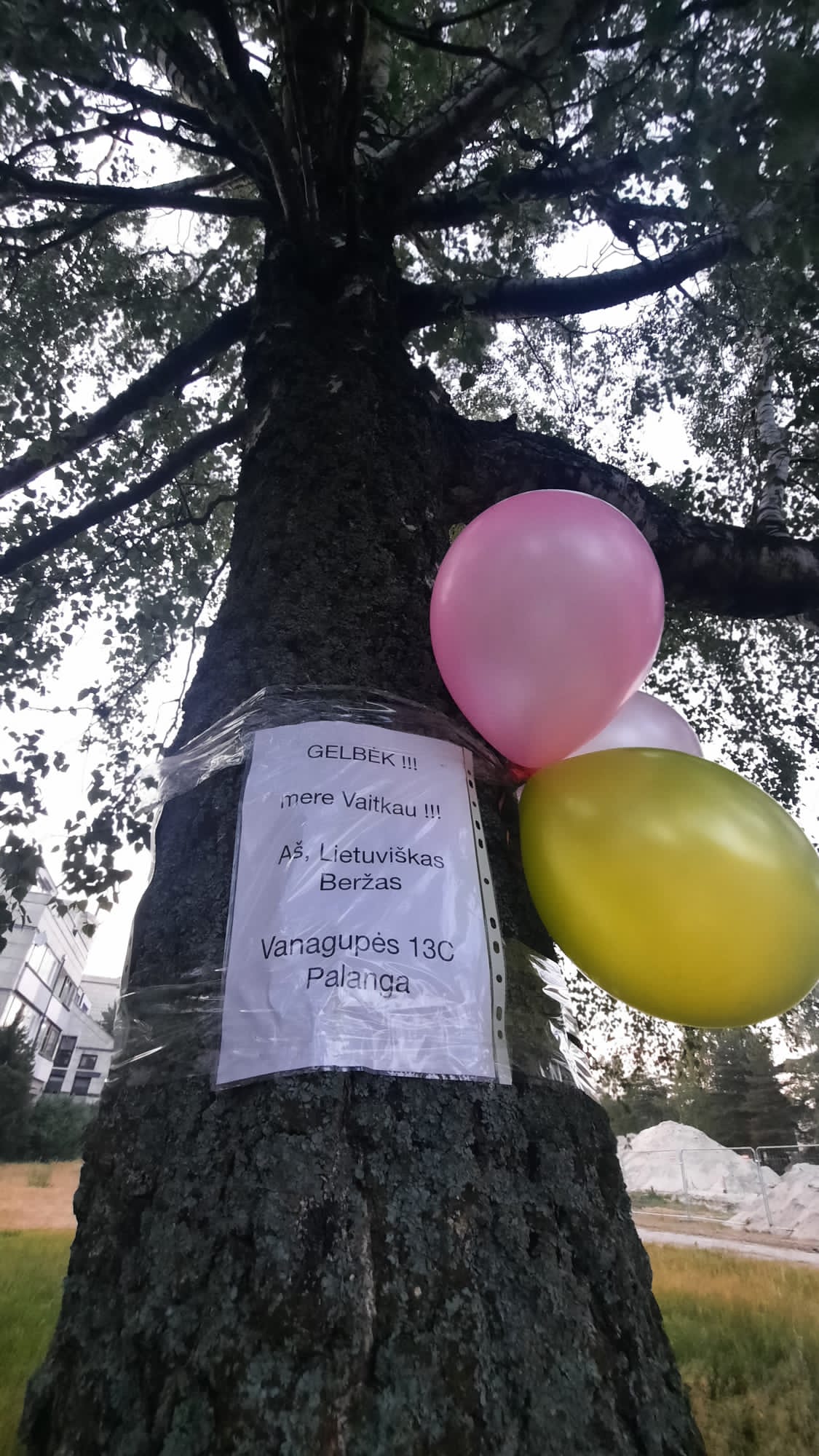 Planas iškirsti medžius prie Vanagupės 13C sukėlė bendrijos narių nepasitenkinimą