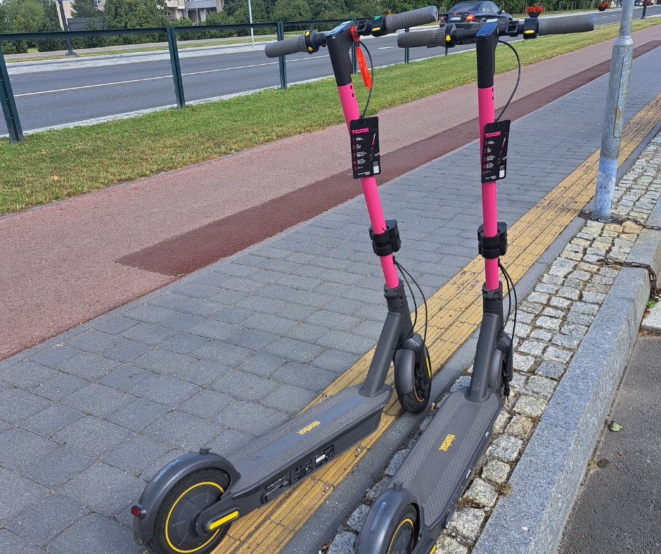 Spalio 15-ąją minima Pasaulinė baltosios lazdelės diena